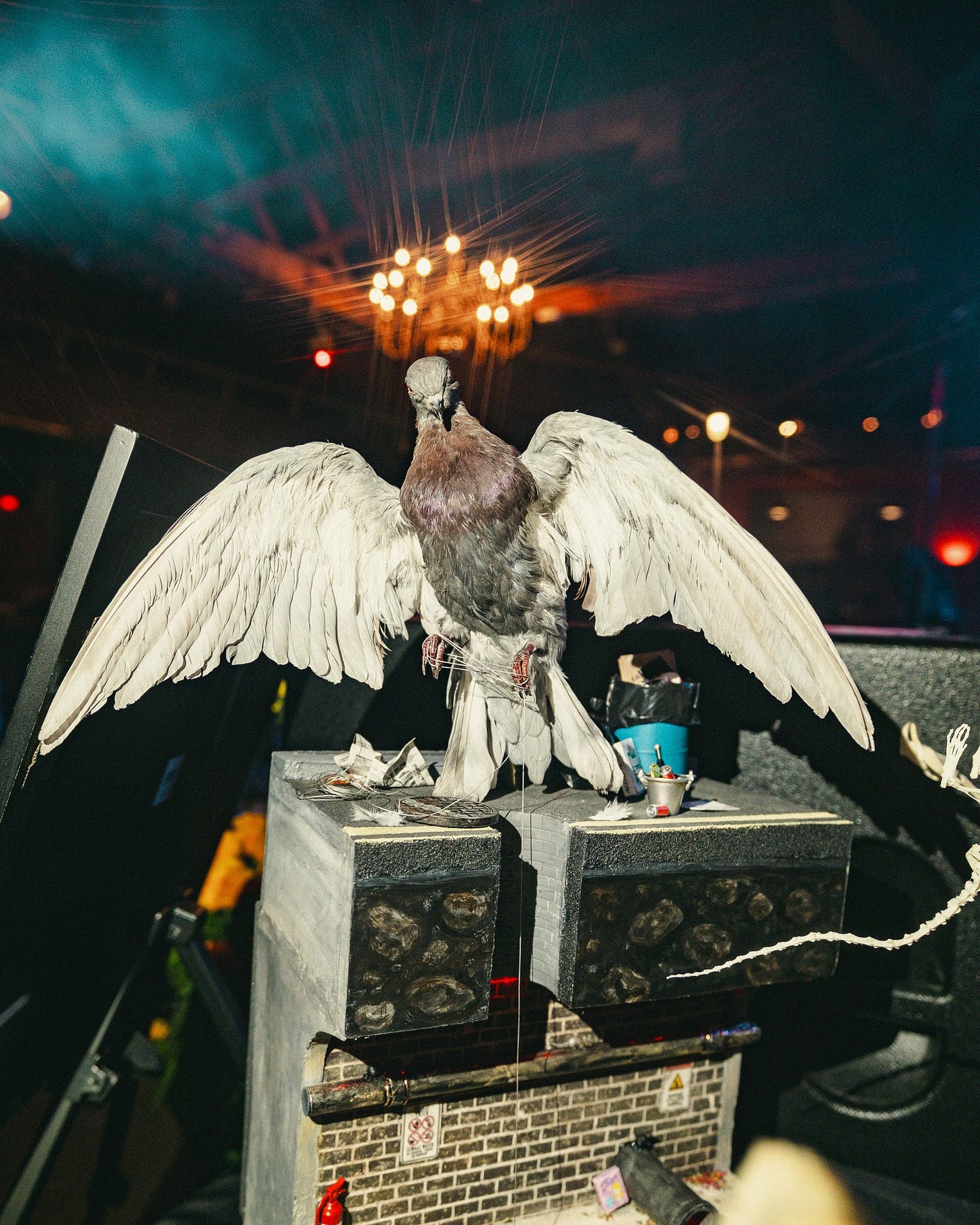 No photo description available.