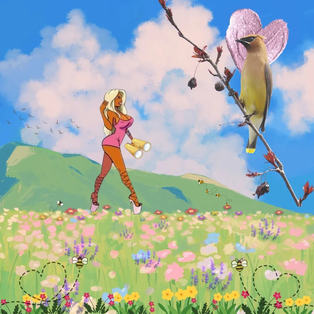 Bimbo Seeks Birders